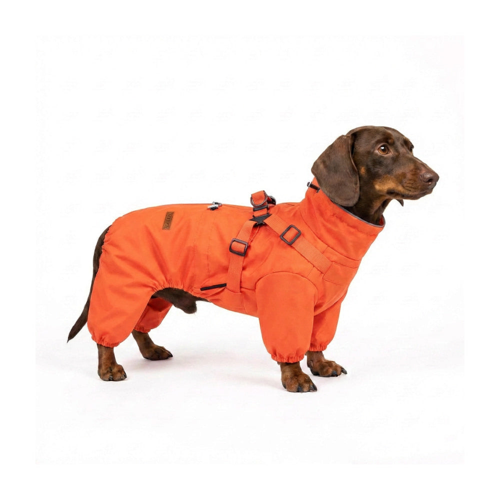 RainPaw - Wasserdichter Regenmantel für Hunde