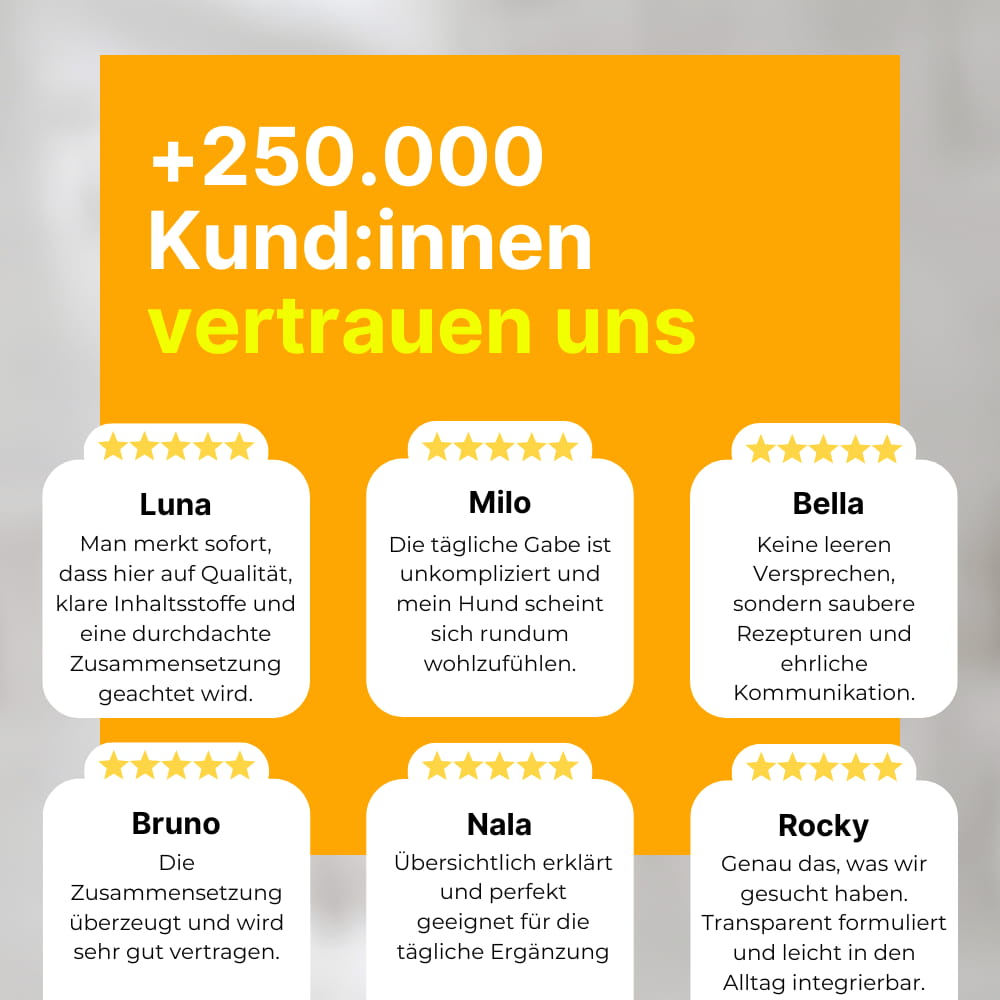 Hunde-Probiotika für Darm & Immunsystem