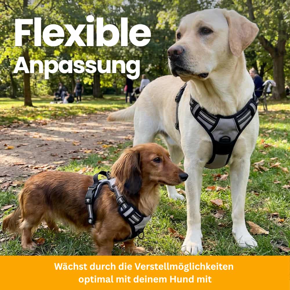 Gepolstertes Anti-Zug Hundegeschirr
