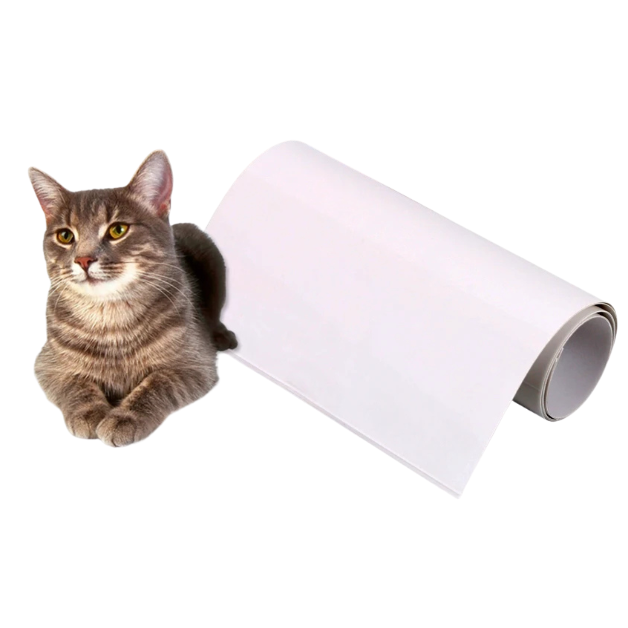 Katzenschutzmatte – 6er Set