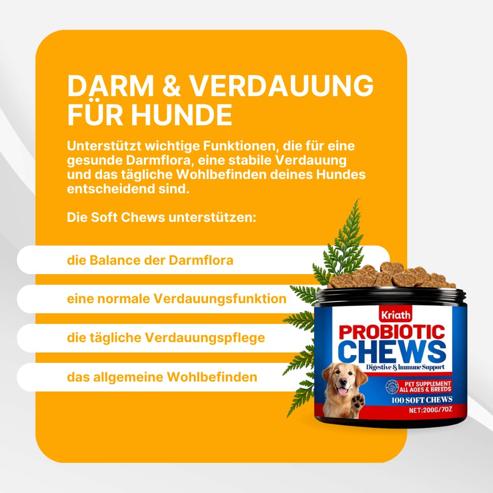 Probiotische Soft Chews für Hunde – Darm & Verdauung