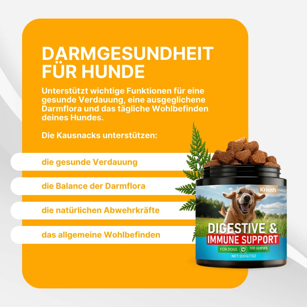 Probiotische Kausnacks für Hunde – Darm & Immunsystem