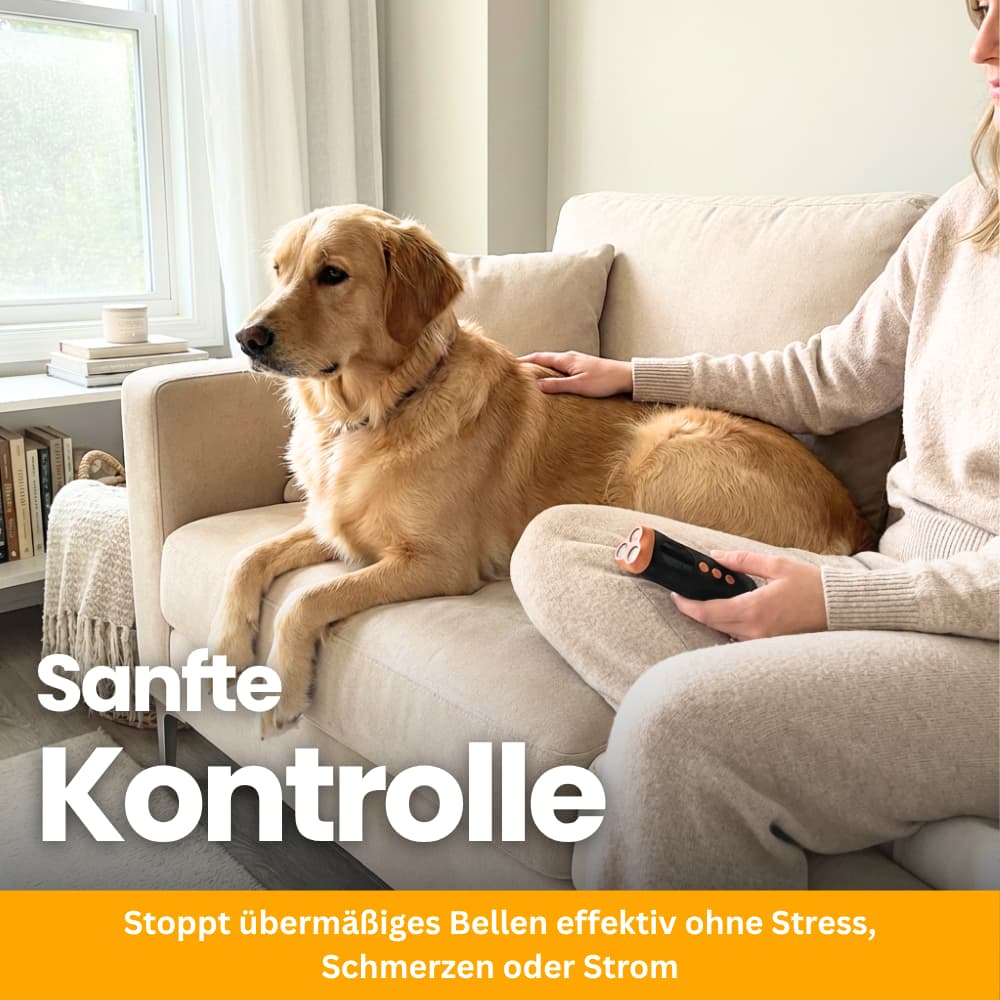 SilentGuard – Sanfte Anti-Bell-Lösung