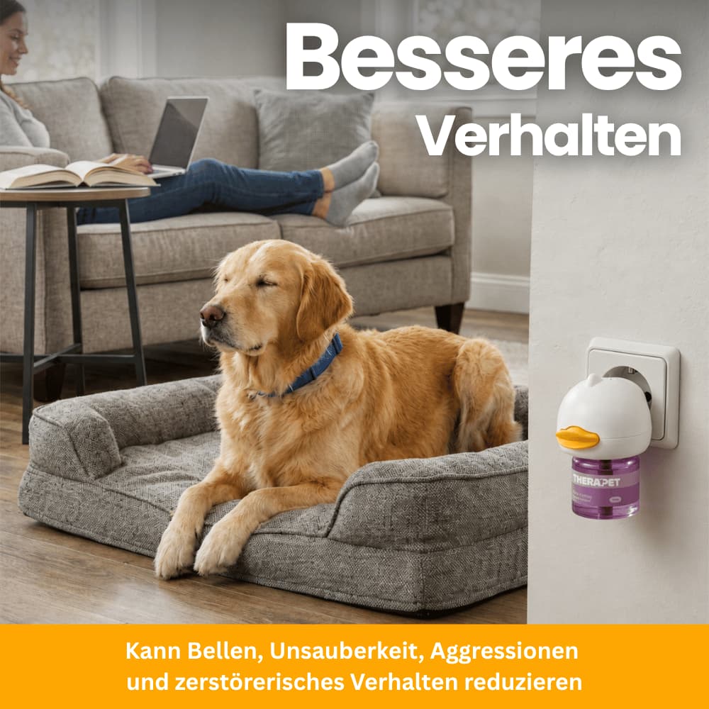CalmDog – Pheromon-Diffuser für Hunde