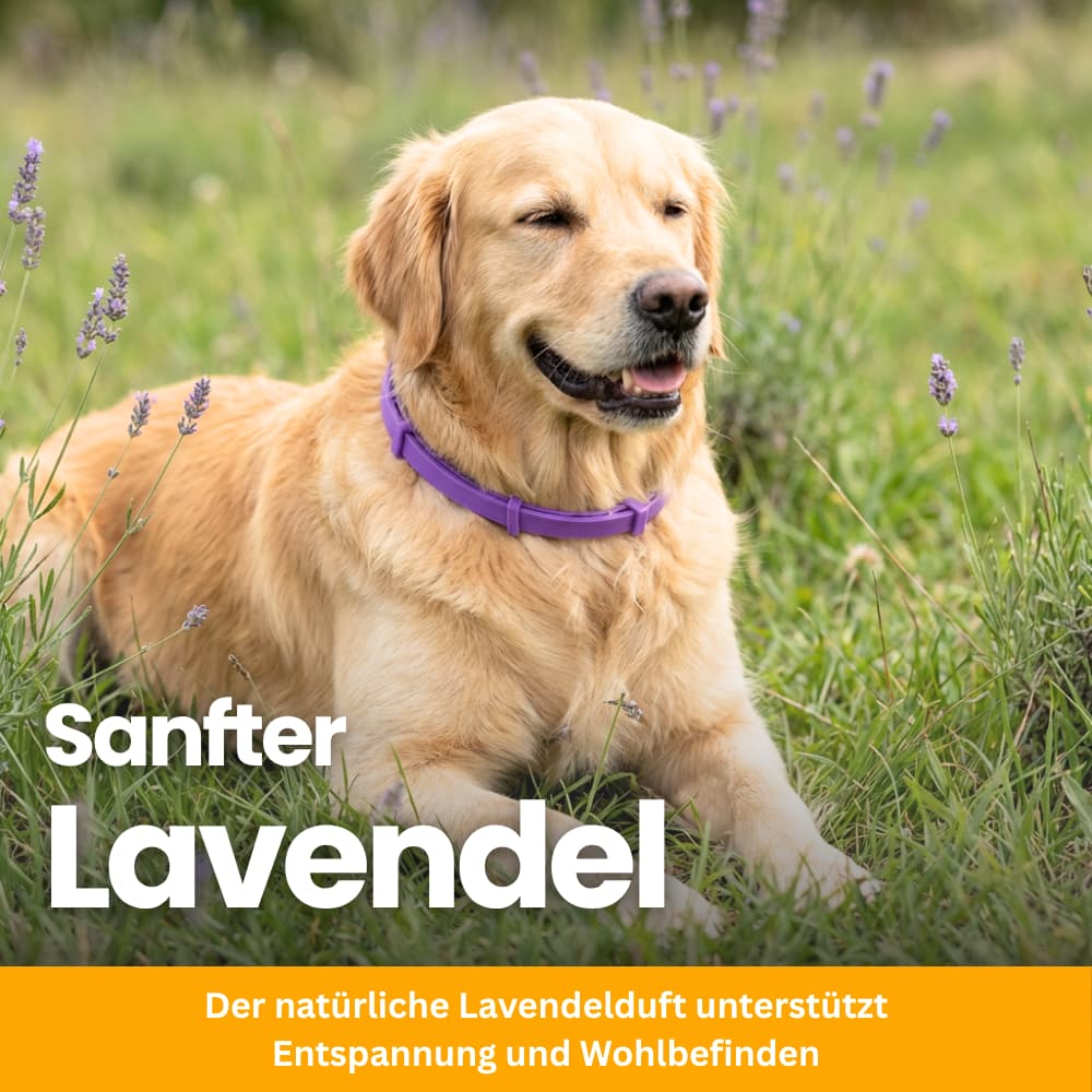 Tierfreundliches Anti-Stress Halsband für Hunde