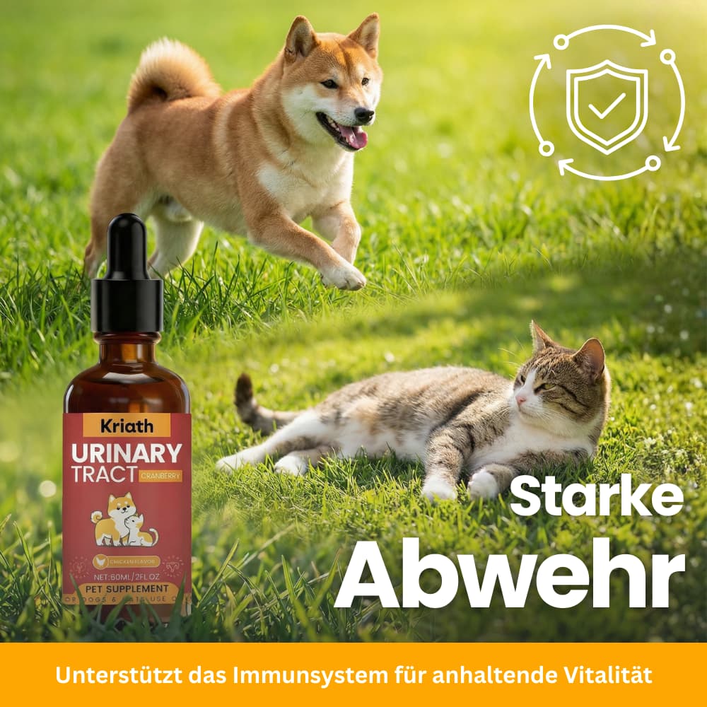 Harnweg-Pflege Tropfen für Hund & Katze