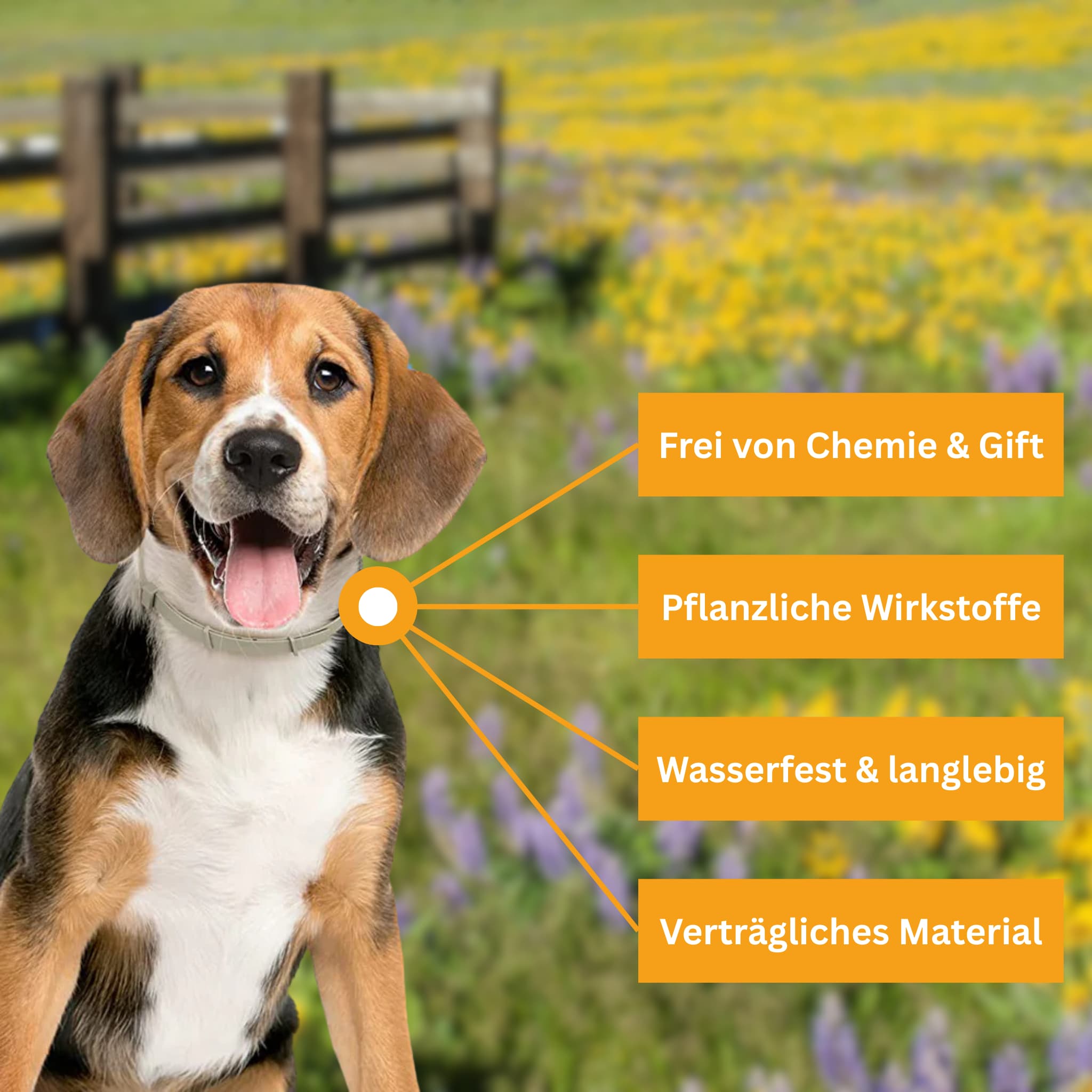 Floh- und Zeckenschutz Halsband für Hunde [Verdopplungs Aktion]