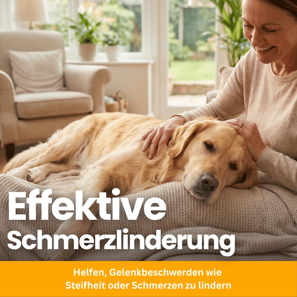 Gelenk-Kausnacks für Hunde mit Glucosamin