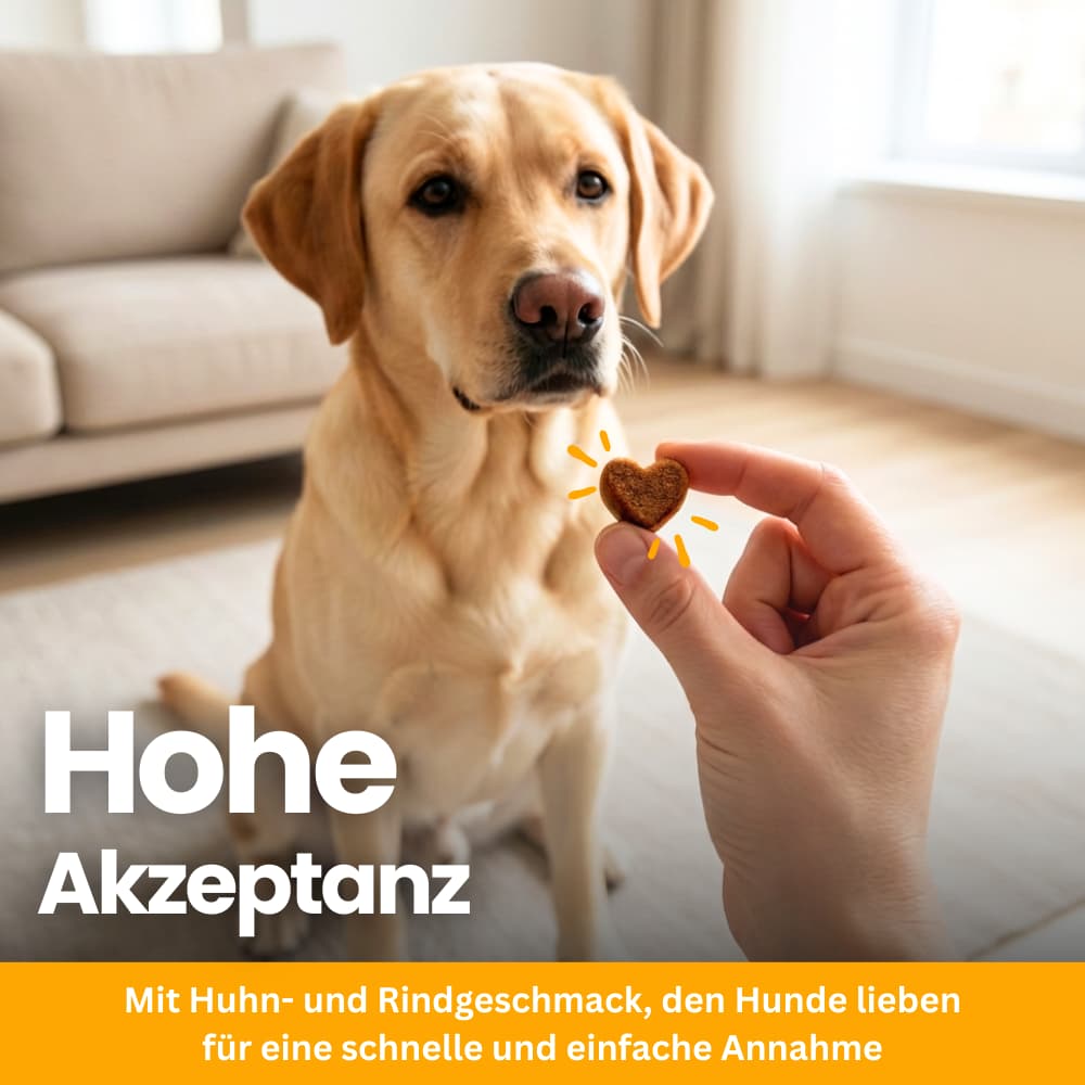 Probiotische Kausnacks für Hunde – Darm & Immunsystem