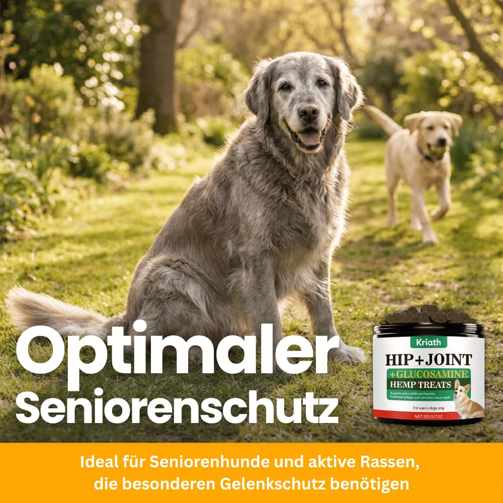 Gelenk-Kausnacks für Hunde mit Glucosamin