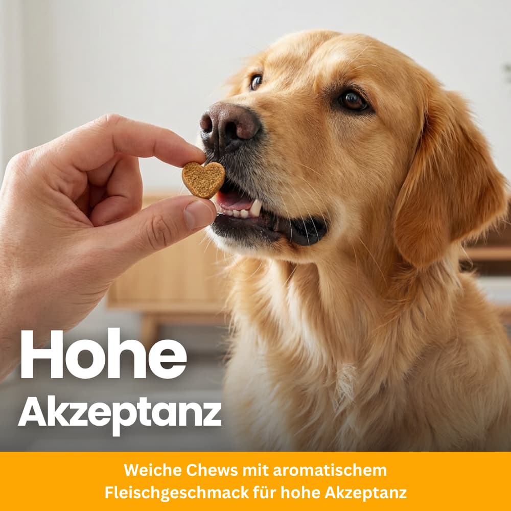 Probiotische Soft Chews für Hunde – Darm & Verdauung