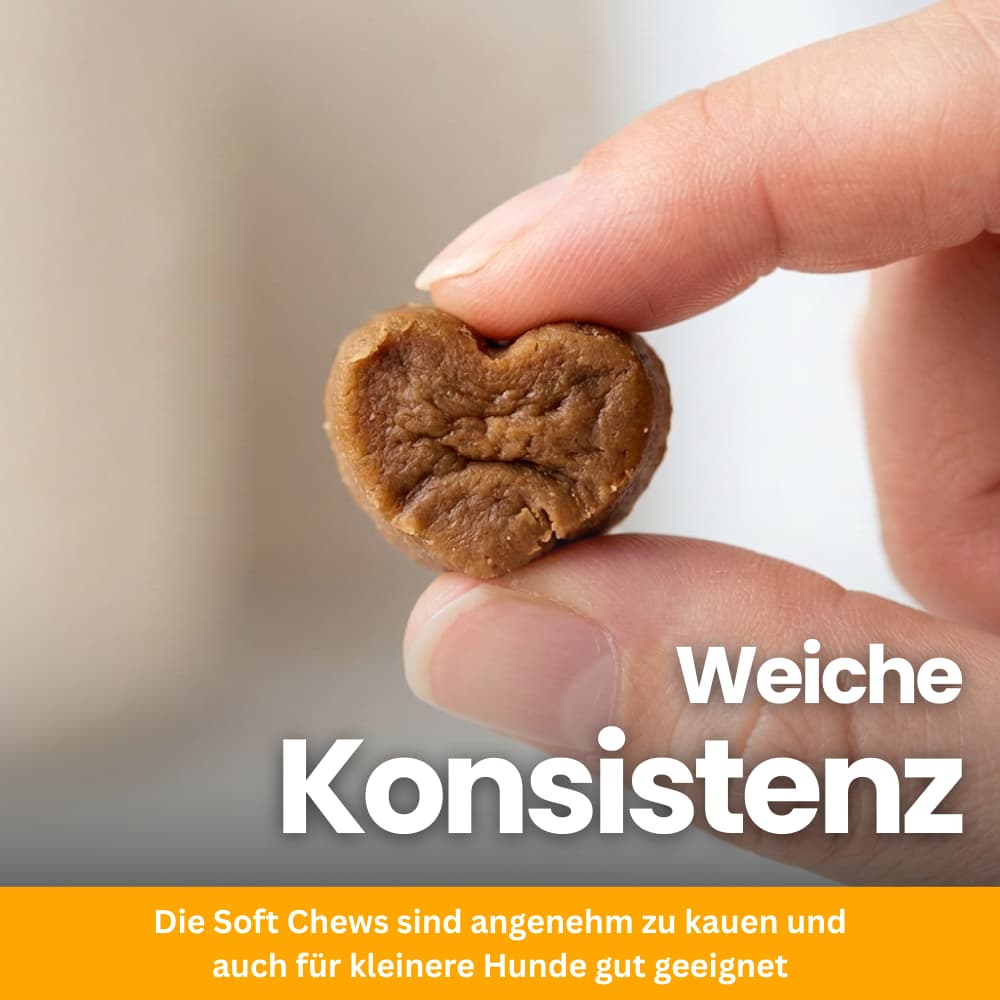Probiotische Kausnacks für Hunde – Darm & Immunsystem