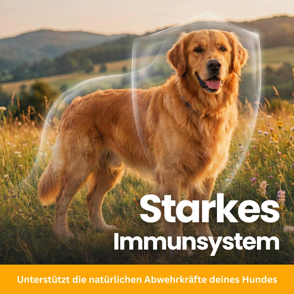 Allergie & Immun Kausnacks für Hunde