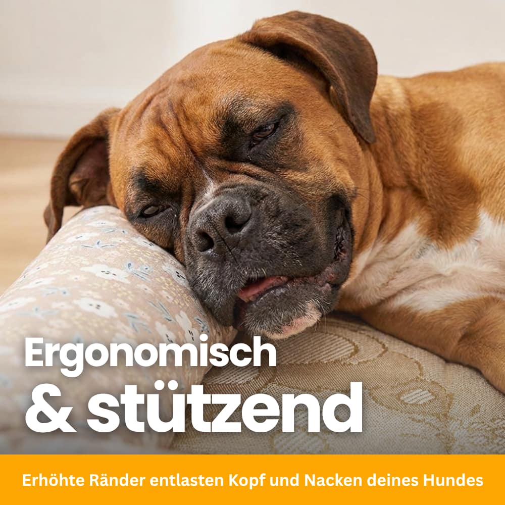 CoolBed – Hundekühlbett