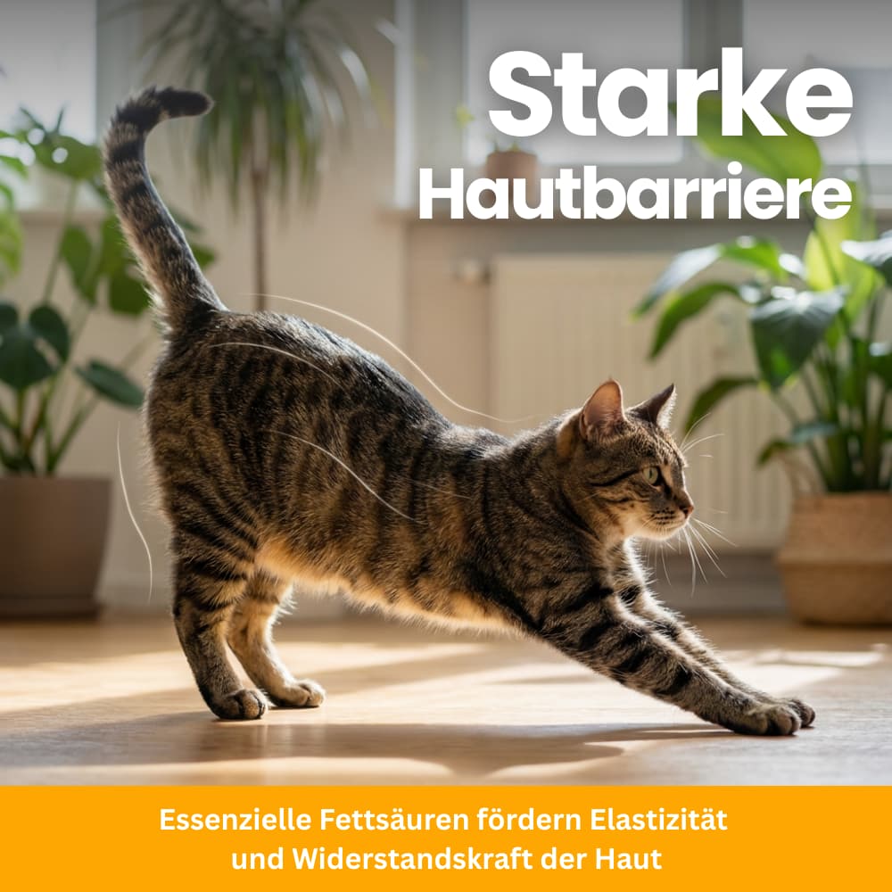 Katzen-Nährstoffpulver für Fell & Haut