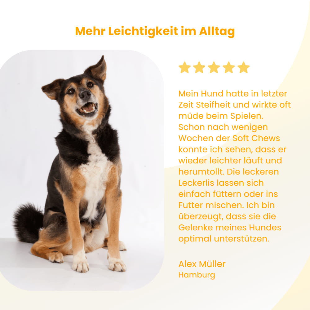 Gelenk-Kausnacks für Hunde mit Glucosamin