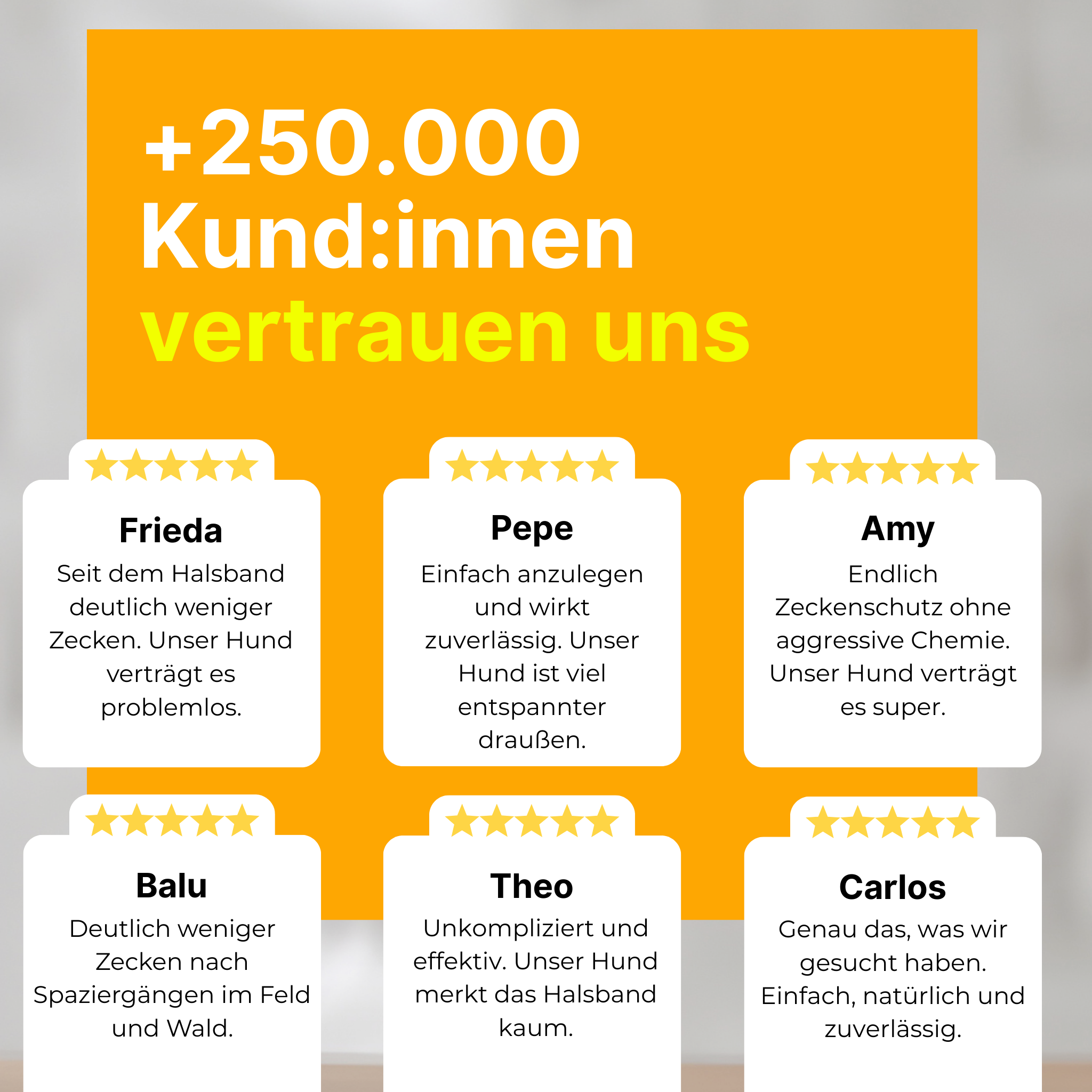 Floh- und Zeckenschutz Halsband für Hunde