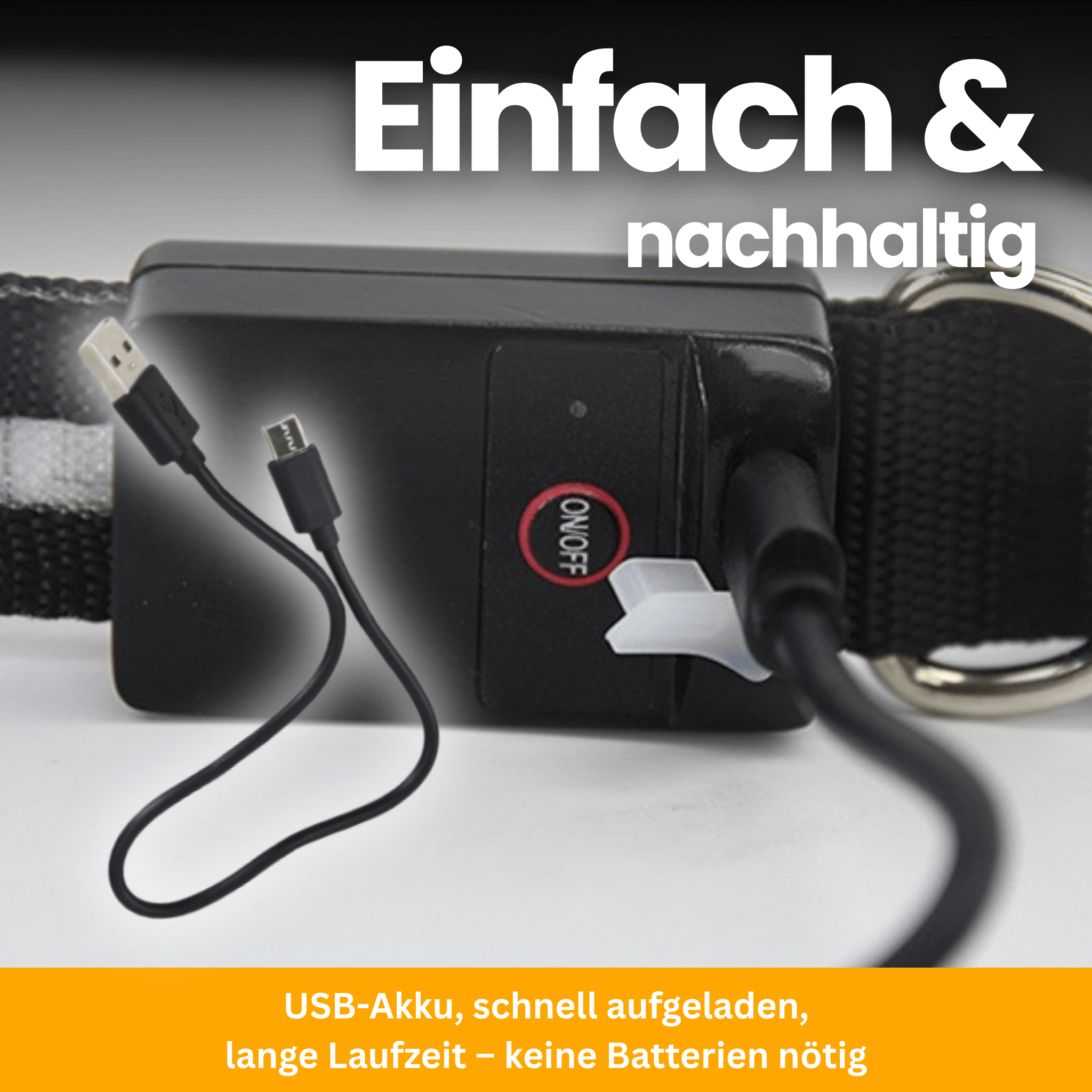 LED-Leuchthalsband Pro