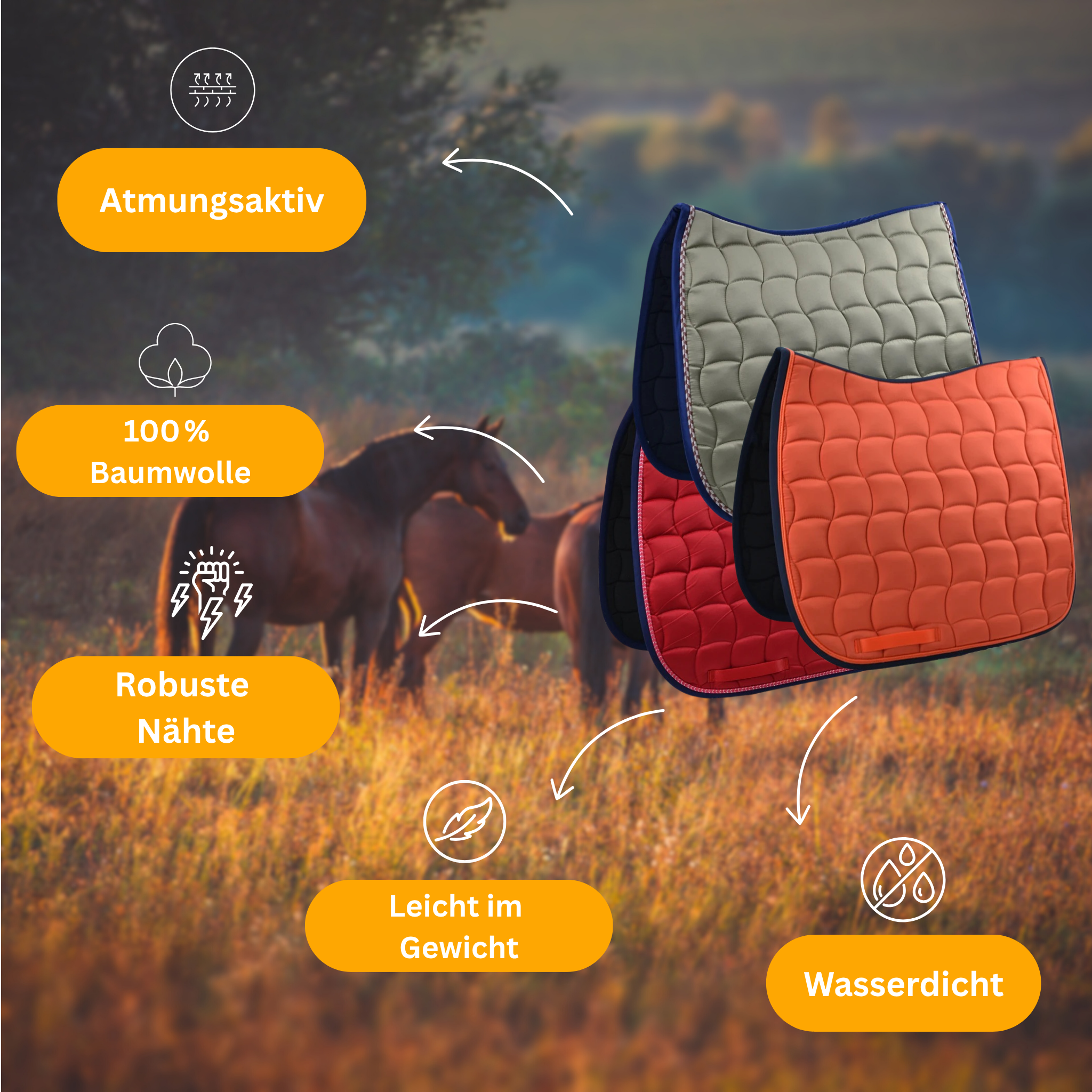 NoblePad – Hochwertige Dressurschabracke für Pferde