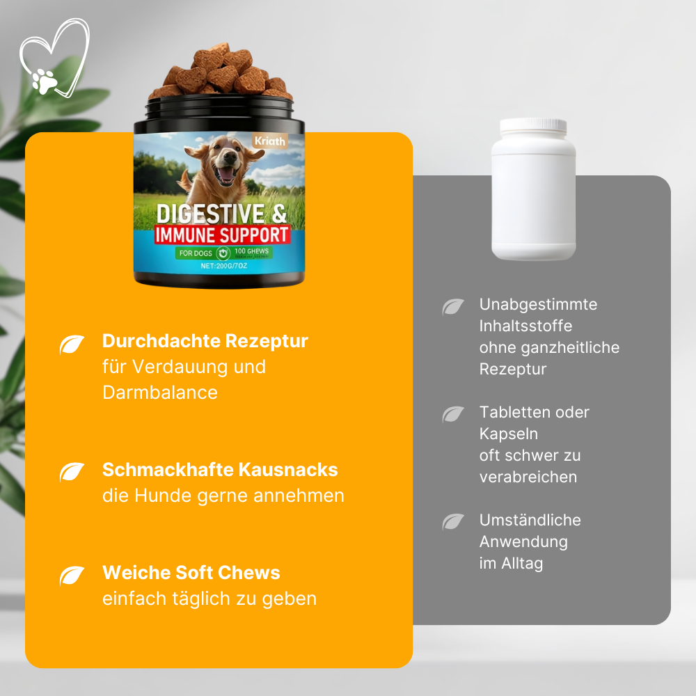 Probiotische Kausnacks für Hunde – Darm & Immunsystem