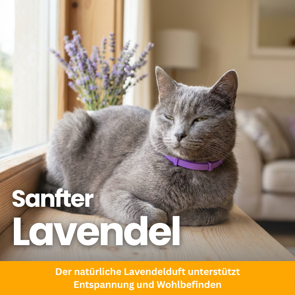 Tierfreundliches Anti-Stress Halsband für Katzen