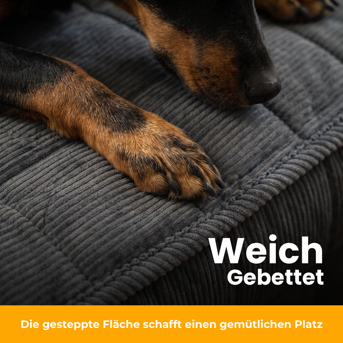 [de] CouchSafe – weich gebettet