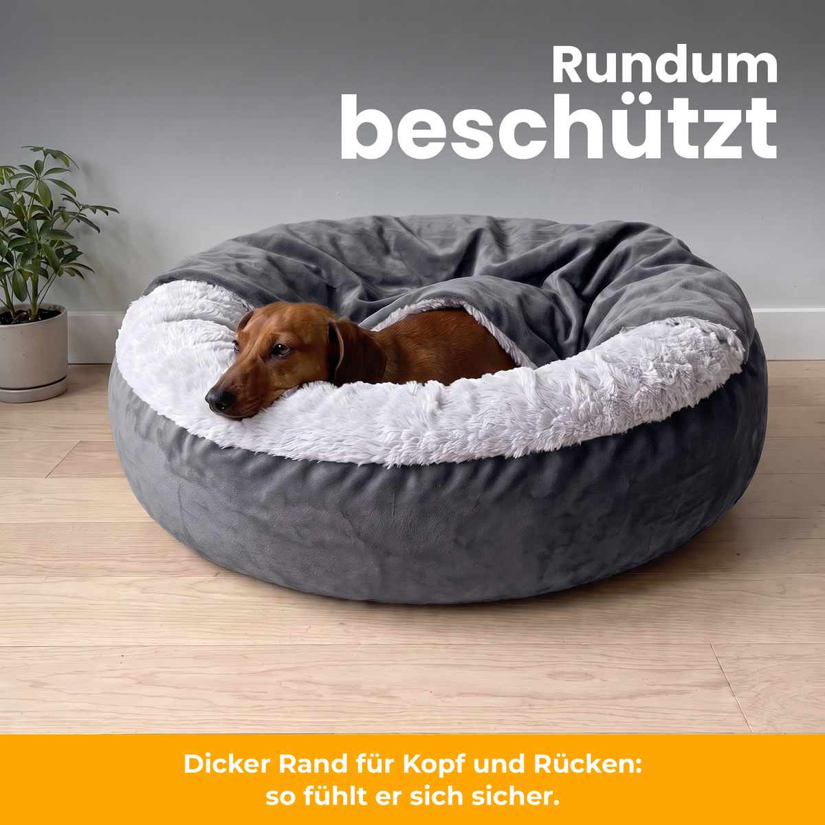 [de] CuddleCave – Dackel legt das Kinn auf den gepolsterten Rand