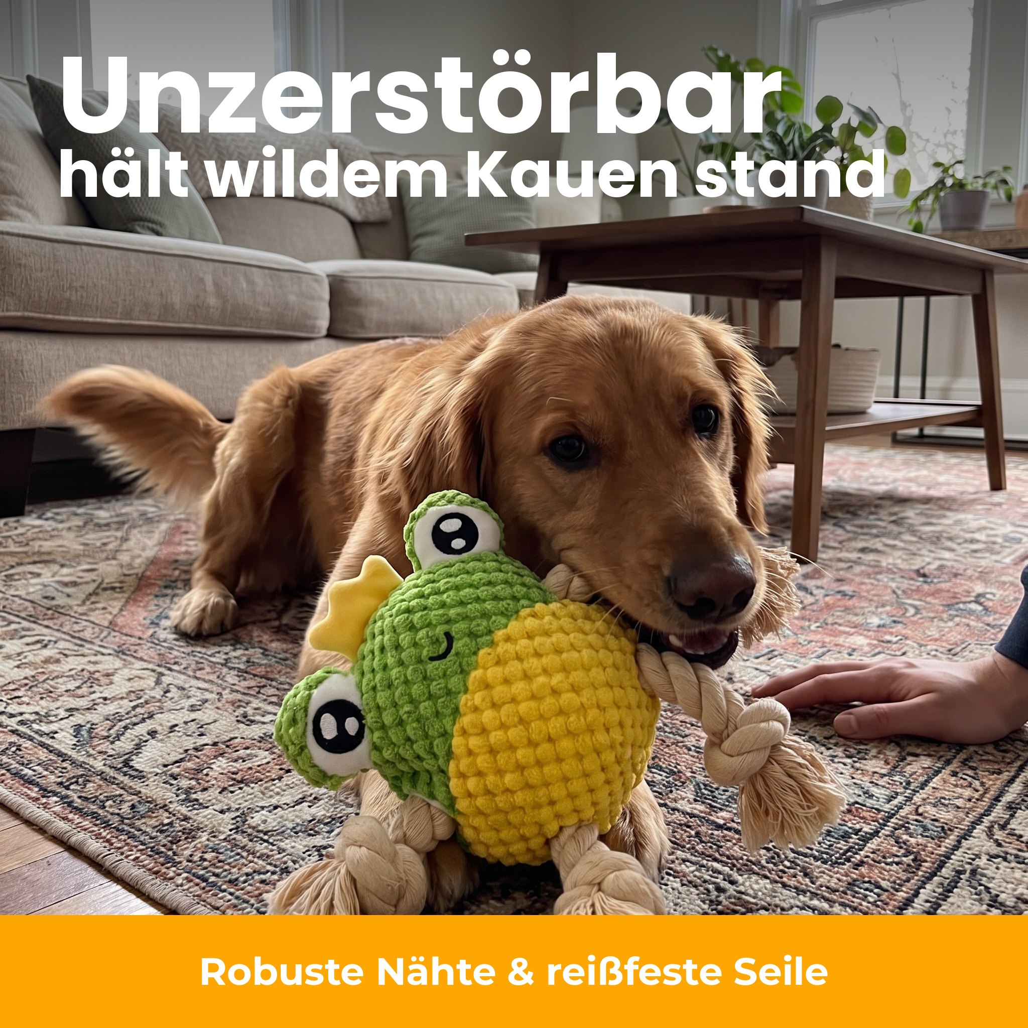 [de] Unzerstörbares Frosch-Hundespielzeug beim Kauen