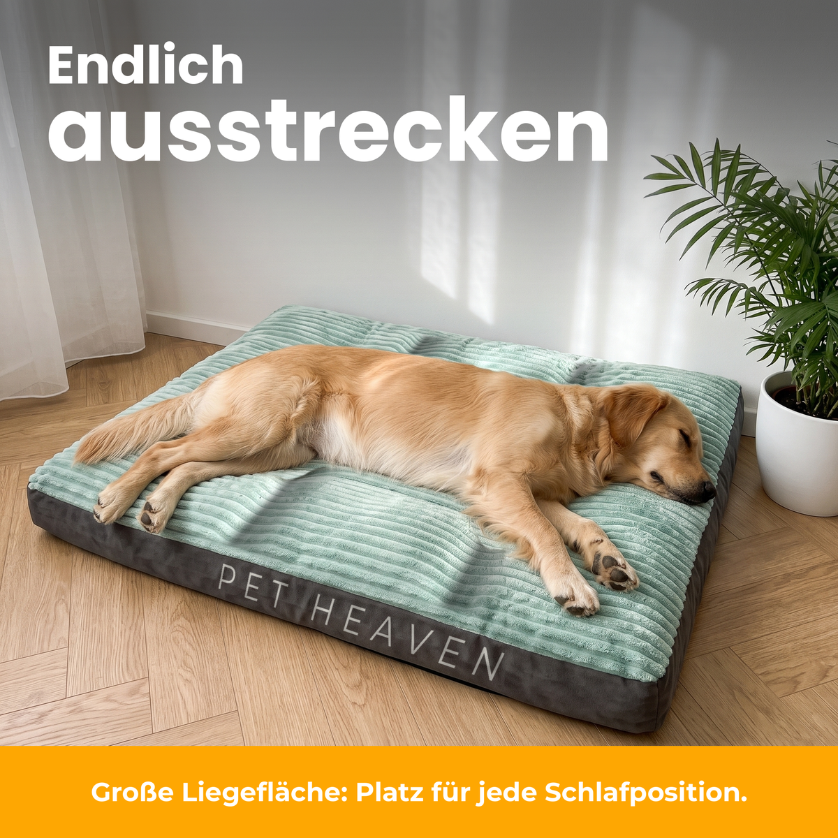 [de] DreamPad – Golden Retriever schläft ausgestreckt auf der DreamPad Cord-Hundematratze
