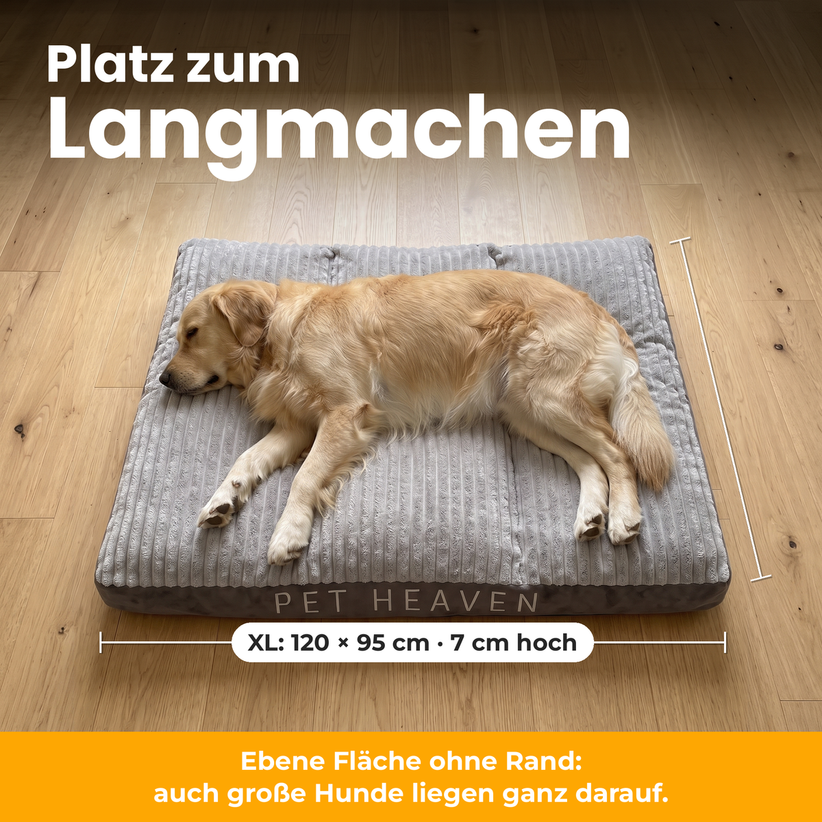 [de] DreamPad – Golden Retriever liegt ausgestreckt auf DreamPad in XL (120 × 95 cm)