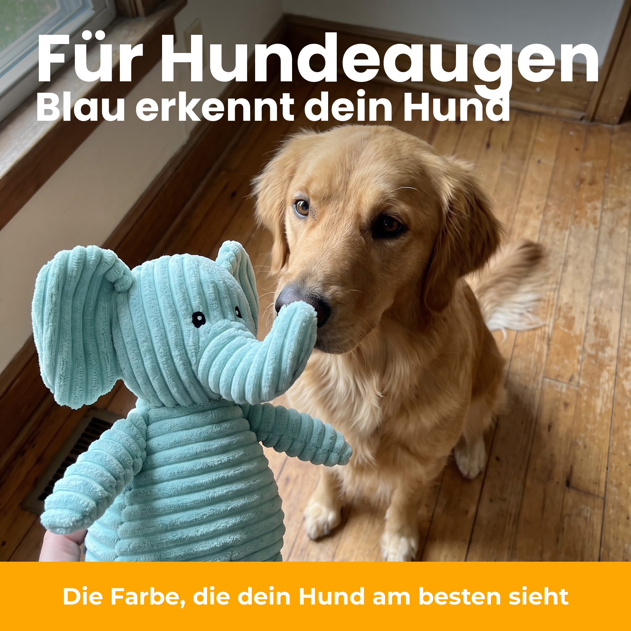 [de] KauElefant in Blau – gut sichtbar für Hunde