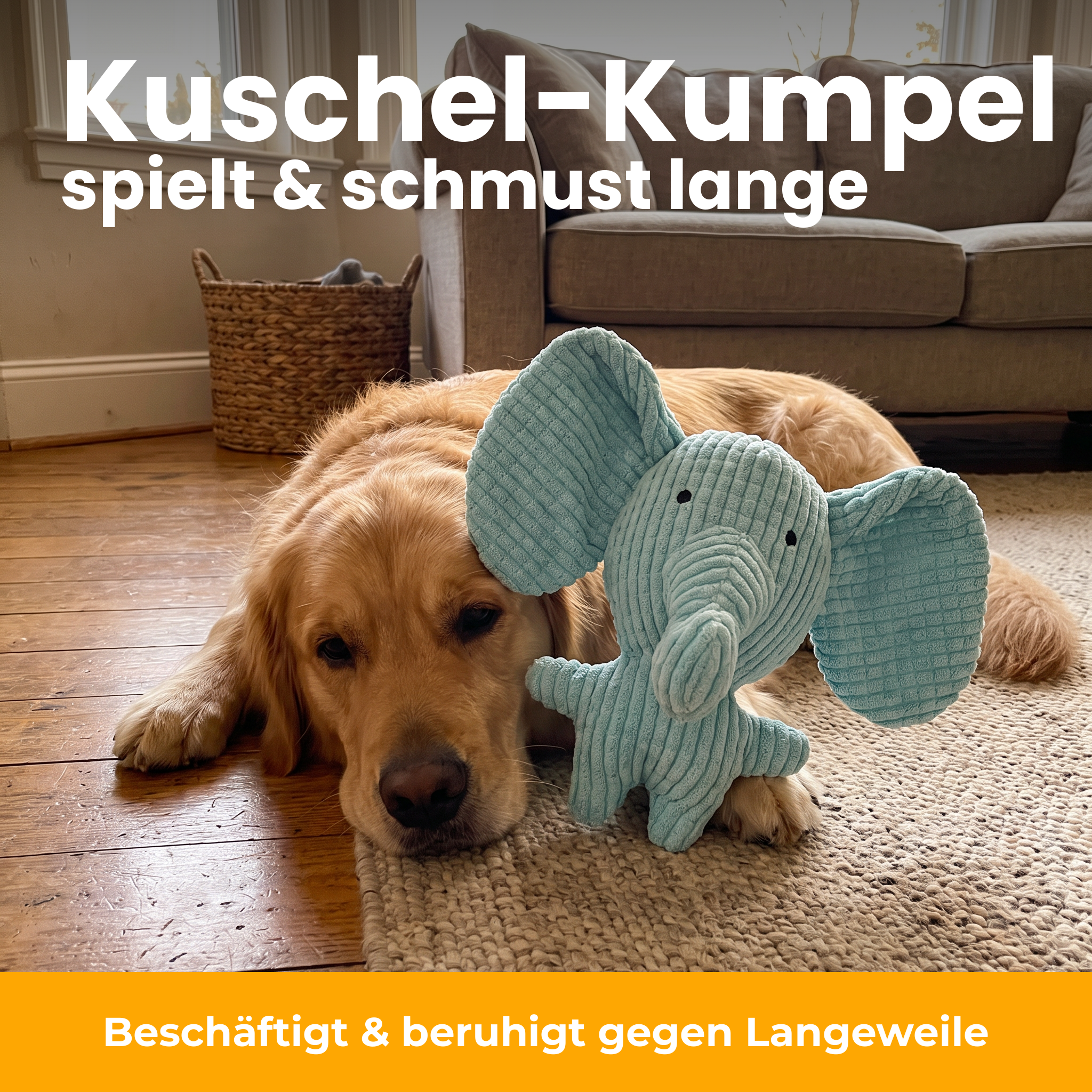 [de] Hund kuschelt mit dem KauElefant