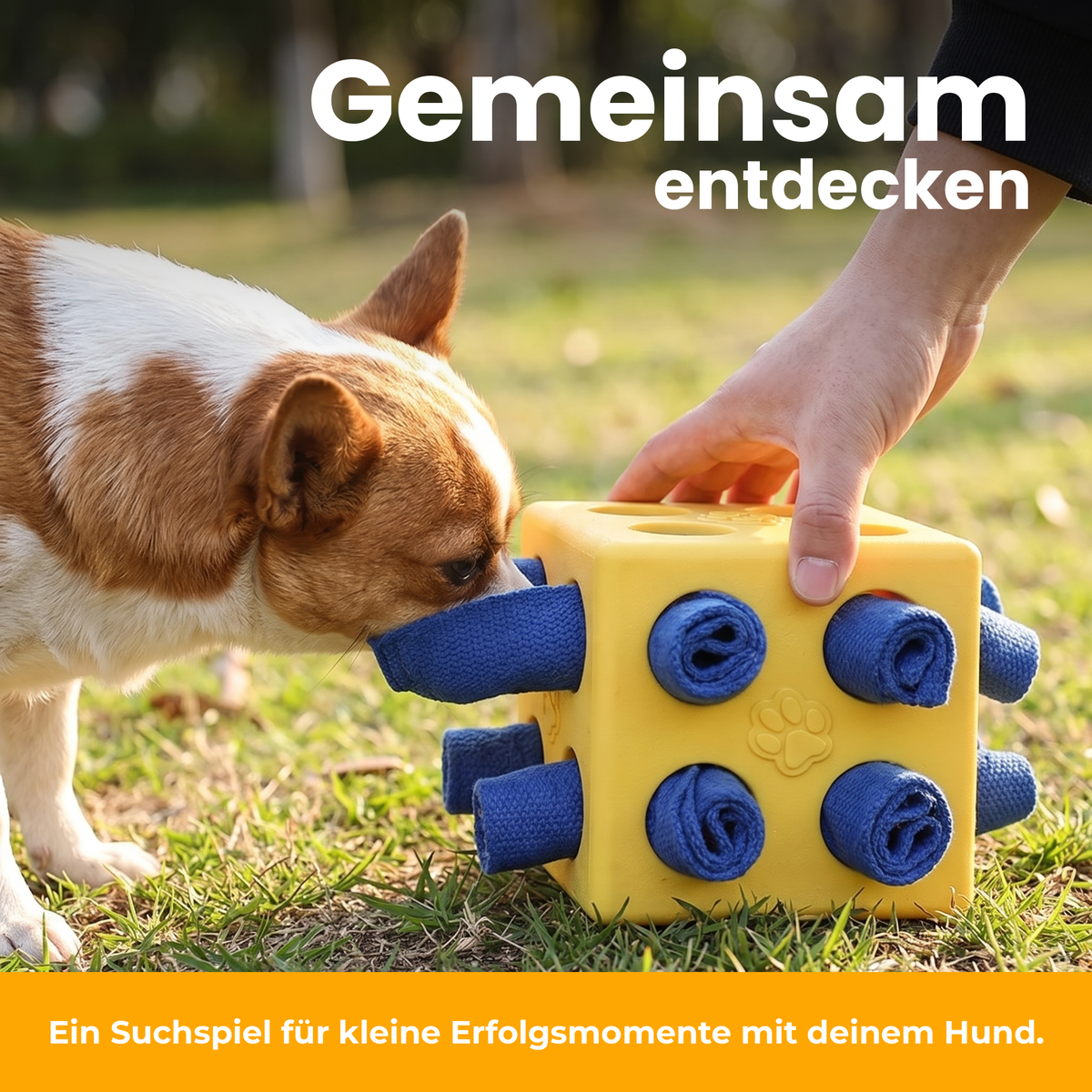 [de] Gemeinsam entdecken