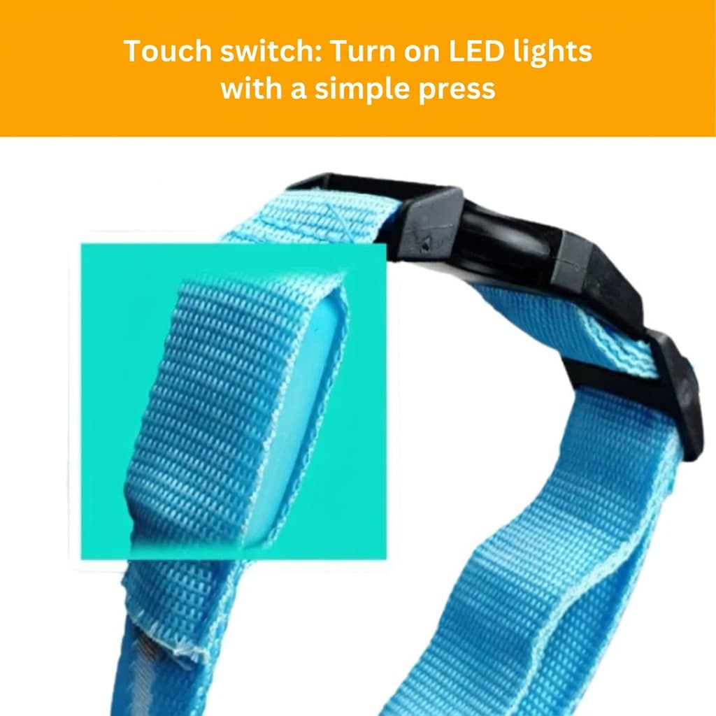 LED Light-Up Dog Collar [Double Offer]