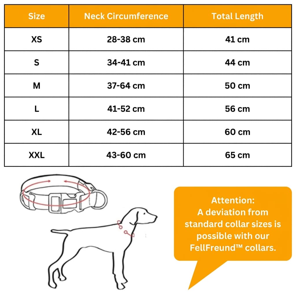 LED Light-Up Dog Collar [Double Offer]
