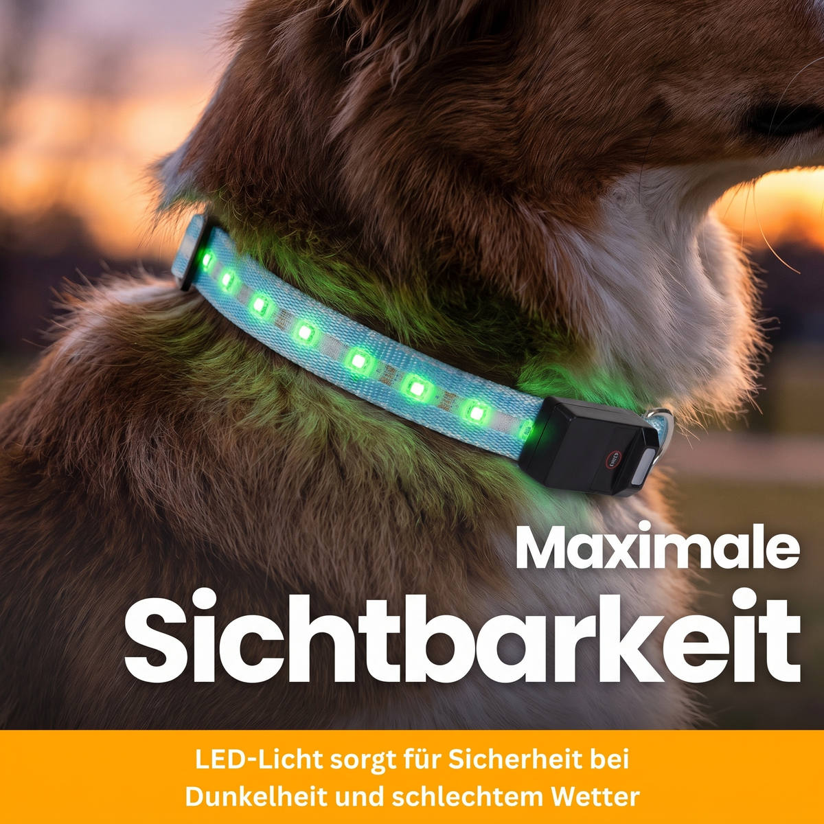 LED-Leuchthalsband Pro