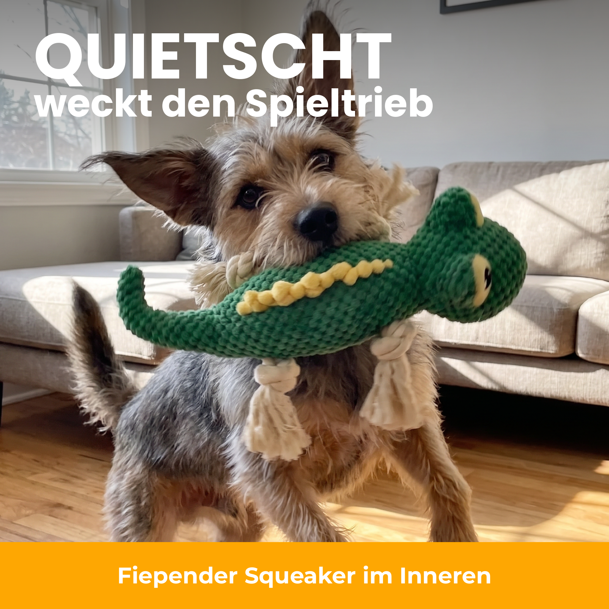 [de] Quietschspielzeug weckt den Spieltrieb