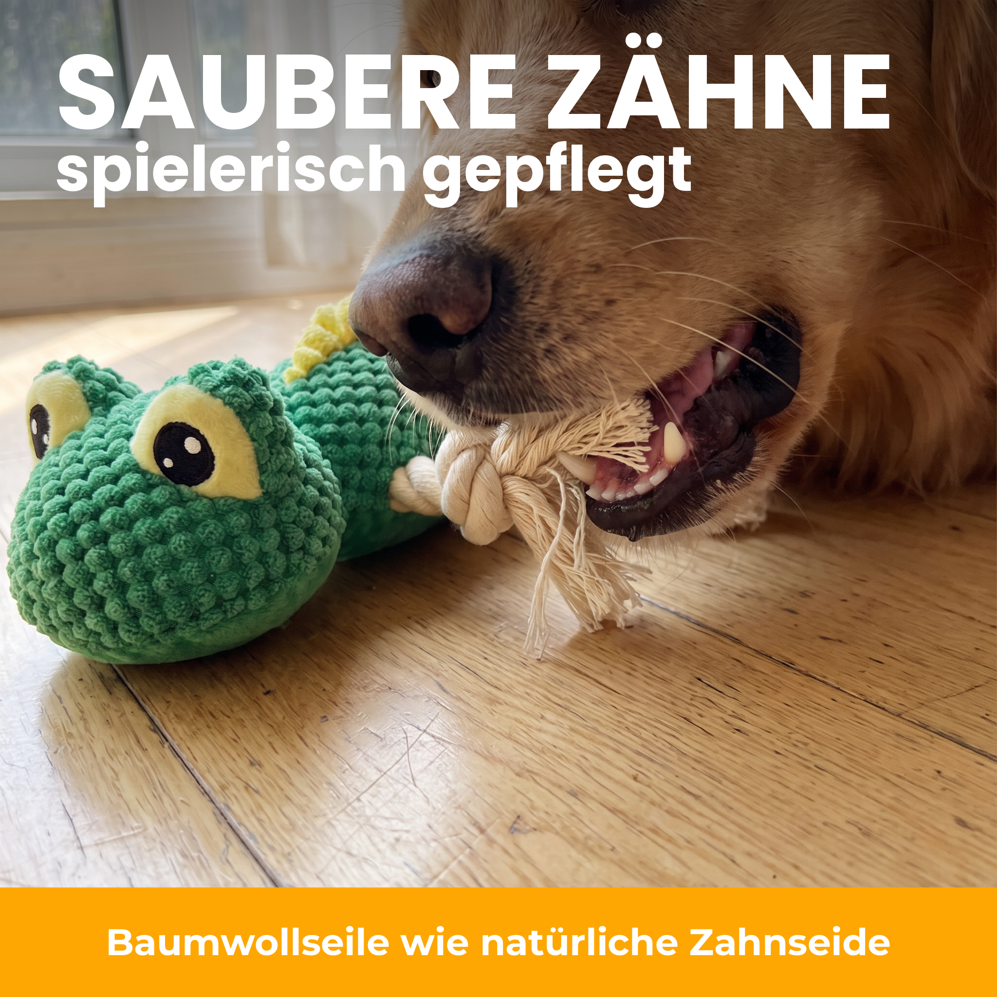 [de] Baumwollseile für spielerische Zahnpflege