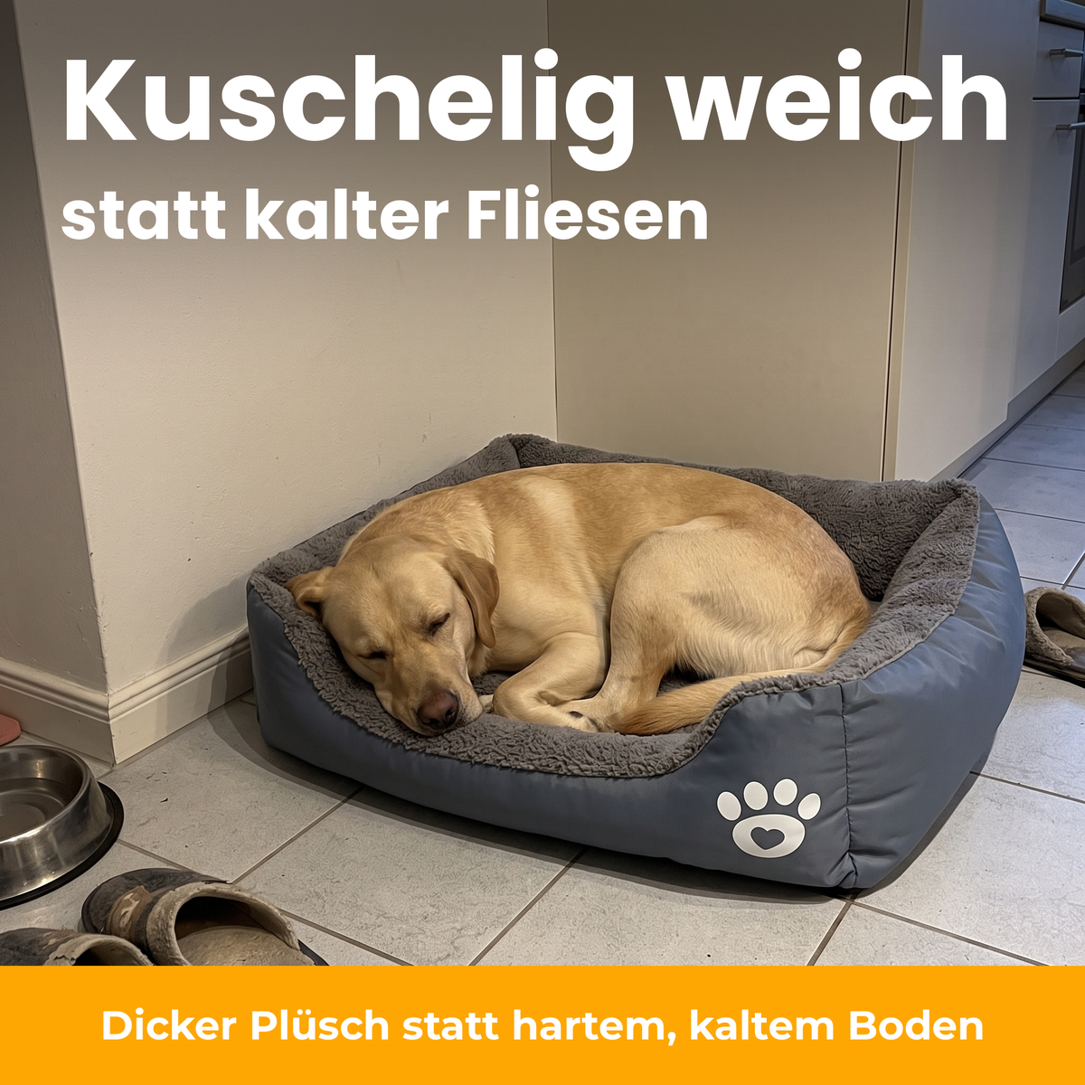 [de] NapBox – Labrador schläft im grauen NapBox auf Fliesenboden