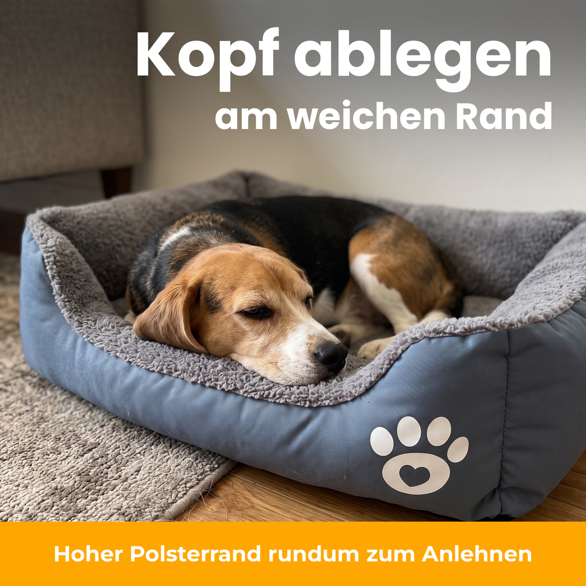 [de] NapBox – Beagle legt den Kopf auf den gepolsterten Rand