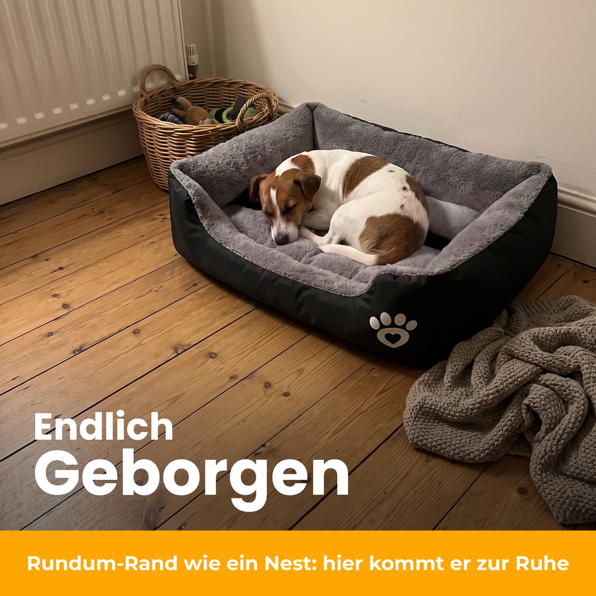 [de] NapBox – Kleiner Hund rollt sich im schwarzen NapBox ein