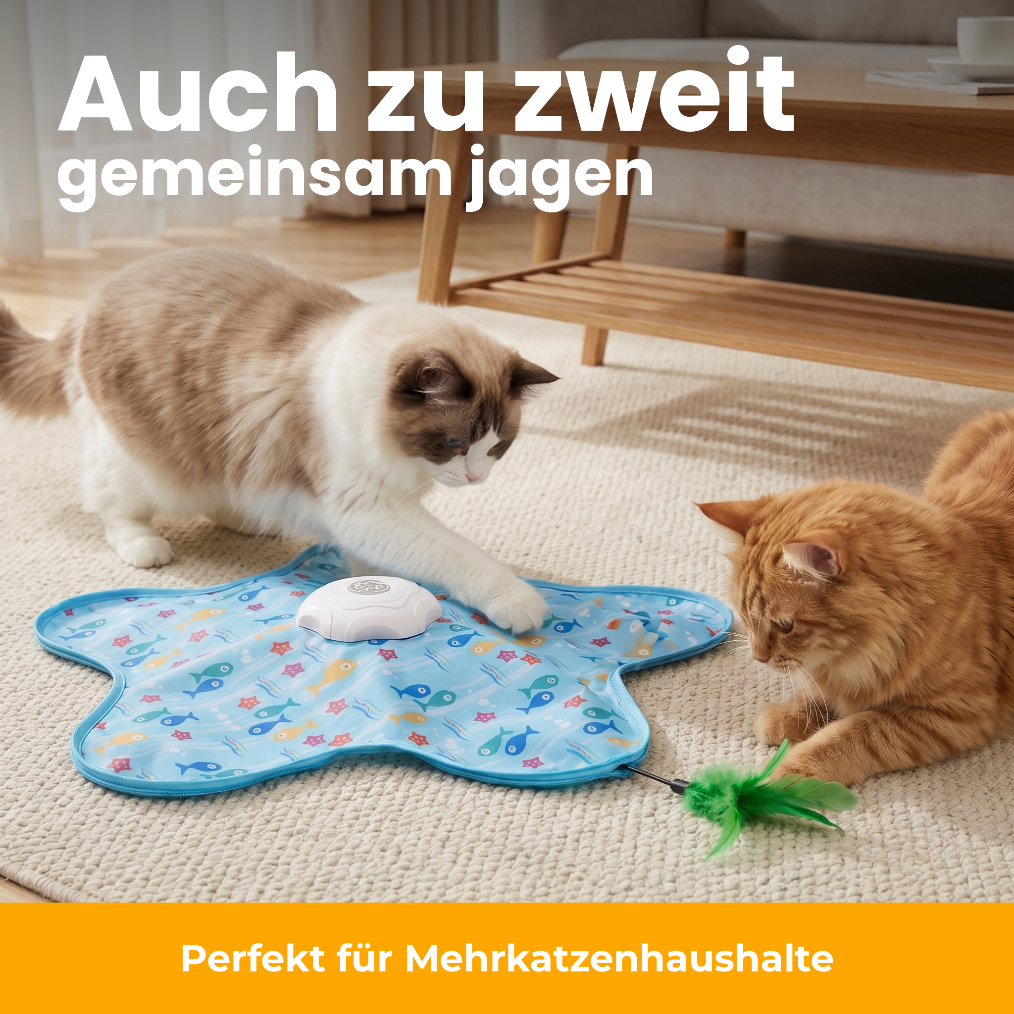 [de] Auch zu zweit